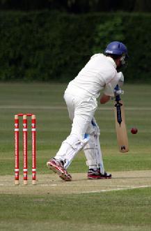 SPONSORED STUMPS SENIOR TEAM SPONSORSHIP Promote your business with your logo clearly displayed on a set of