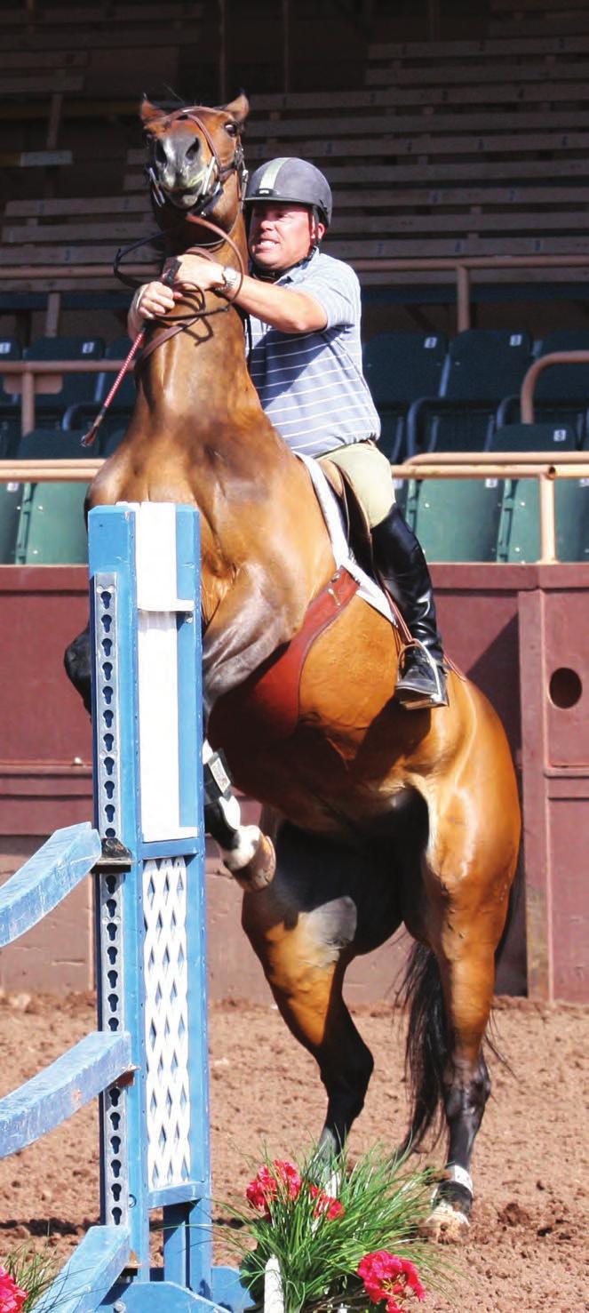 When Horses Behave Badly Unwanted behaviour may be caused by a poorly fitting saddle By Jochen Schleese CMS, CSFT, CSE There have been an abundance of articles discussing such problems as how to slow
