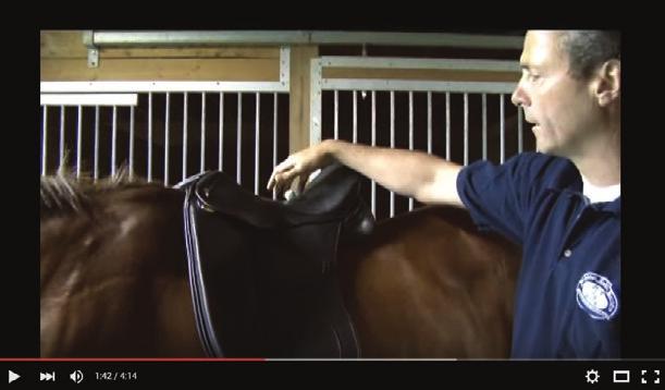 Educational Videos Saddle Fitting in 9 Steps Step 1: