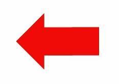 Runners must look out for red on white arrows, pink surveyors tape and caution and information signage.