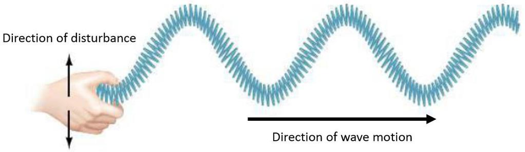 2 Types of Waves Transverse the source of the