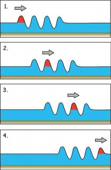 How fast one wave crest (or compression) moves through a medium