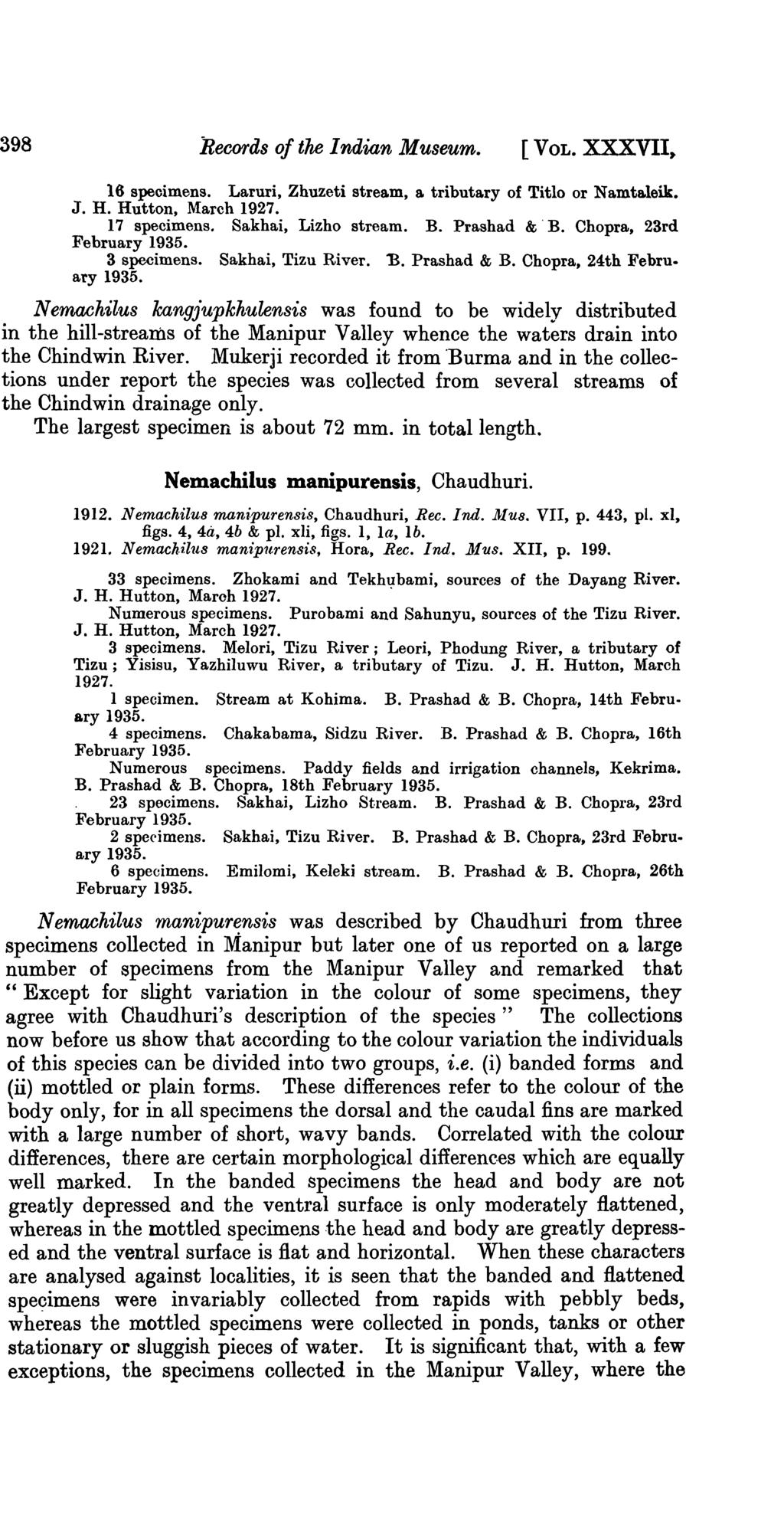 398 Records of the Indian Museum. [ VOL. XXXVII, 16 speoimens. Laruri, Zhuzeti stream, a tributary of Titlo or Namta.leik. J. H. Hutton, March 1927. 17 specimens. Sakhai, Lizho stream. B.