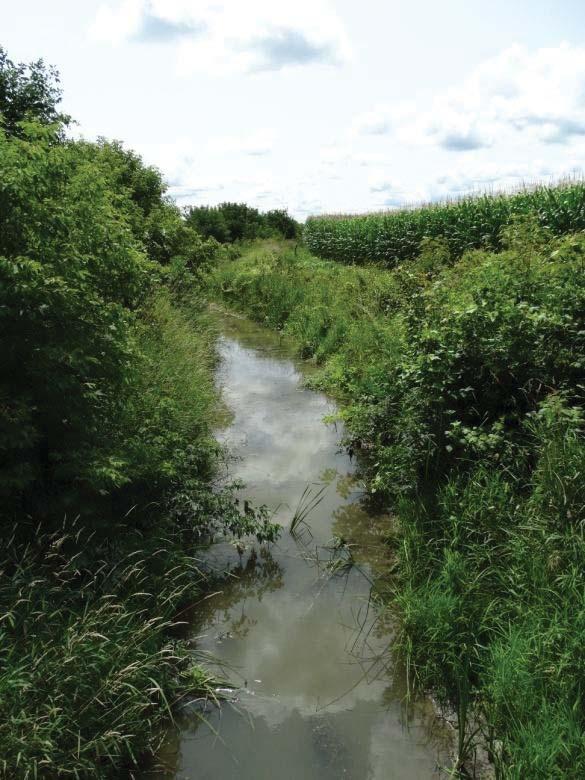 upstream of Third Line Road North (site of