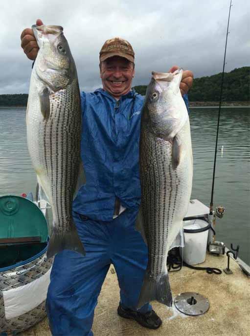 WATAUGA / S HOLSTON / BOONE Willie Tunnell with two big stripers. Photo courtesy TNT Outdoors. David Ullery with big hybrid on Boone. Photo courtesy TNT Outoors.