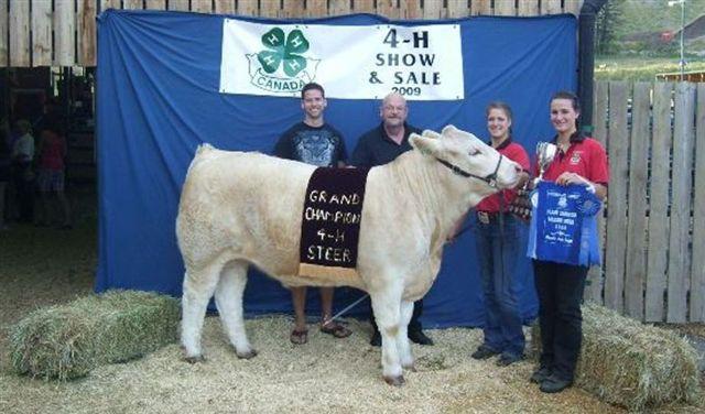 Stock Show Autumn Baker s steer Purchased from Dave