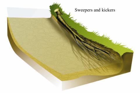 Diagram 1 Tree sweeper with