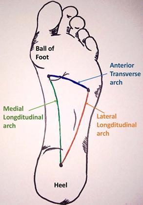 10 Most Effective Treatments For Arch Pain Introduction The arches of the foot are responsible for supporting the foot and stabilising the weight of the body when in an erected position.