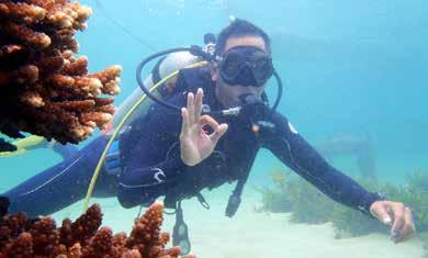 INTRO DIVE This programme teaches the fundamentals of dive theory and a few of the most basic but important skills.