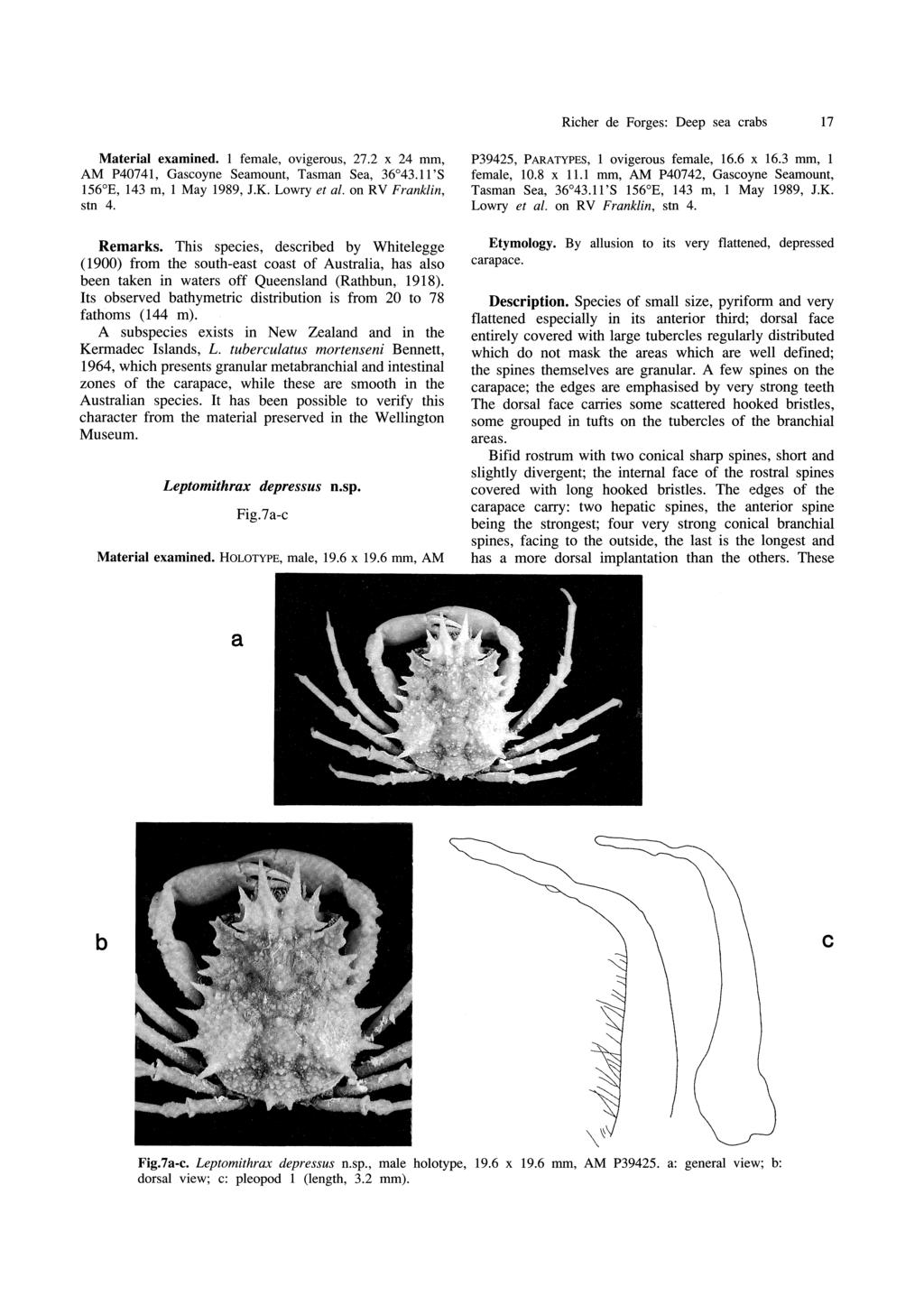 Richer de Forges: Deep sea crabs 17 Material examined. 1 female, ovigerous, 27.2 x 24 mm, AM P40741, Gascoyne Seamount, Tasman Sea, 36 43.11'S 156 E, 143 m, 1 May 1989, I.K. Lowry et al.