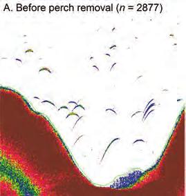 A Before perch removal (n = 2,877) B After perch removal (n = 1,333) FIGURE 6.