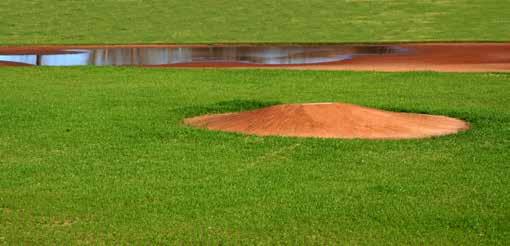 Rapid Dry is a fine absorbent granule that adds stability and improves soil consistency while quickly wicking away standing water. Just pour it on any wet spots and save the game.