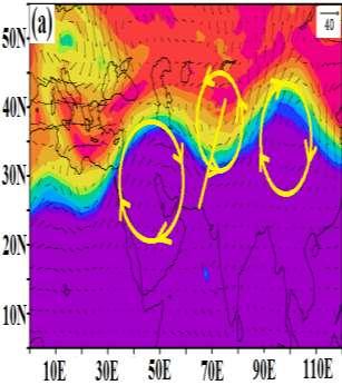 June PV Rossby wave breaking in the jet migration of