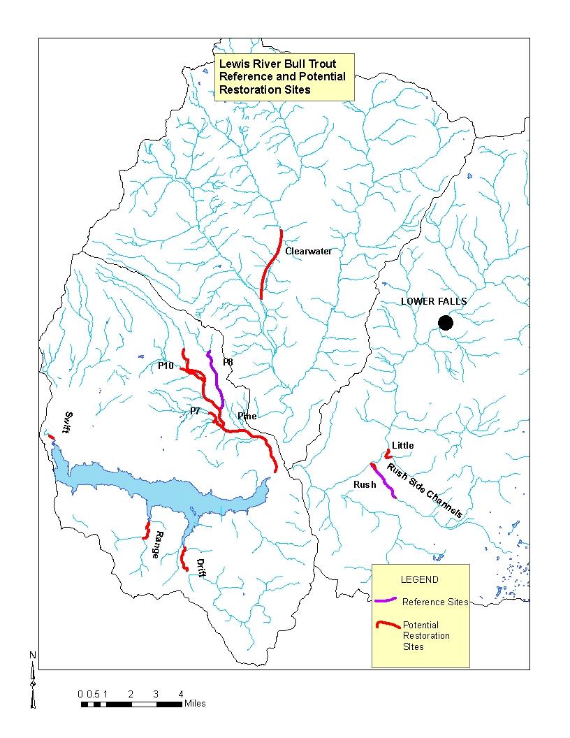 As part of the Lewis River Hydroelectric Projects Settlement Agreement (Settlement Agreement), PacifiCorp provides a dedicated source of funding for bull trout habitat restoration projects.