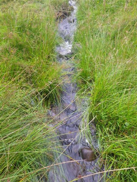 although once the channel became more defined further upstream some fry habitat was evident. Downstream of the dry stone wall the survey ended (NS) 266917 600728.