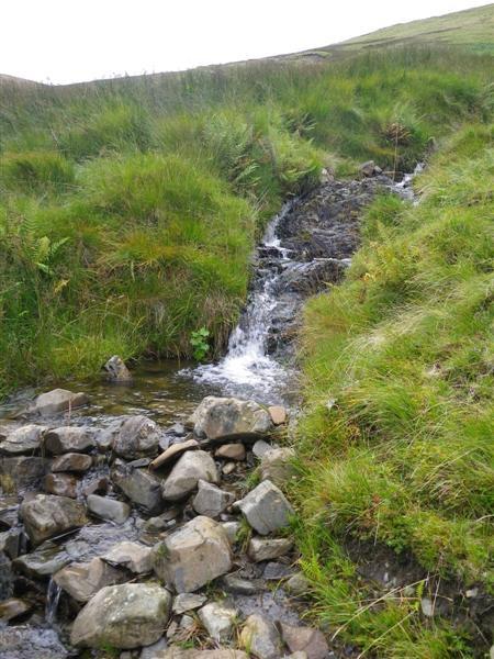 3 3: Un-named tributary of the Alwhat Burn, east of Brown Hill, and tributary The un-named tributary of the Alwhat Burn was surveyed along with a short un-named side tributary of the burn.