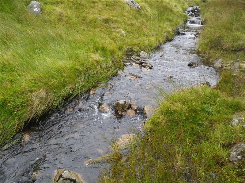 Here the wetted width averaged between 1 and 2 m and the burn was characeterised by a combination of parr habitat punctuated by steep bedrock waterfalls creating obstructions for fish passage.