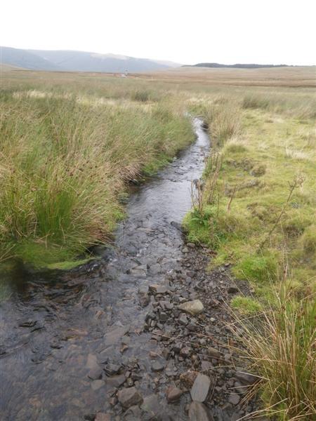 Figure 20: A stretch of suitable fry habitat in the Pulmulloch Burn, looking downstream 4.1.