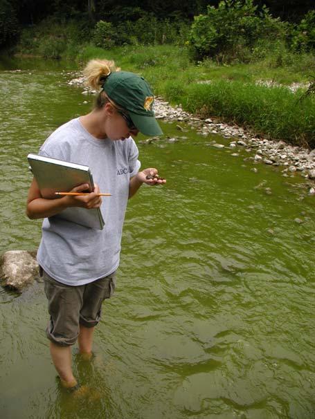 Ausable River Aquatic Habitat Assessment ~ 2005 ~ Prepared by: Kari