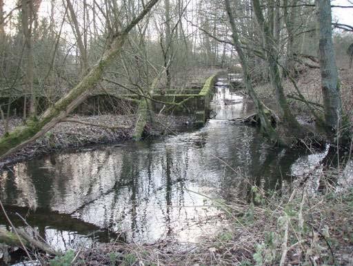 Photo 14 Upstream view showing disused trout rearing tanks,