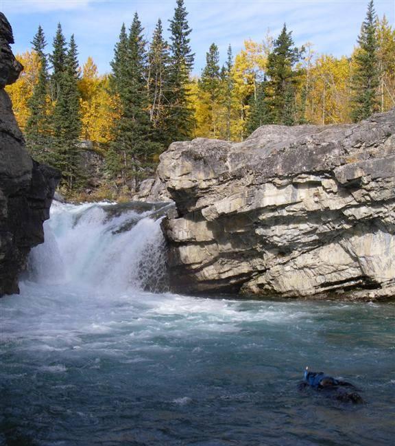 FLUVIAL BULL TROUT REDD SURVEYS ON THE ELBOW, SHEEP AND HIGHWOOD RIVERS, ALBERTA - Trout Unlimited Canada Submitted to: