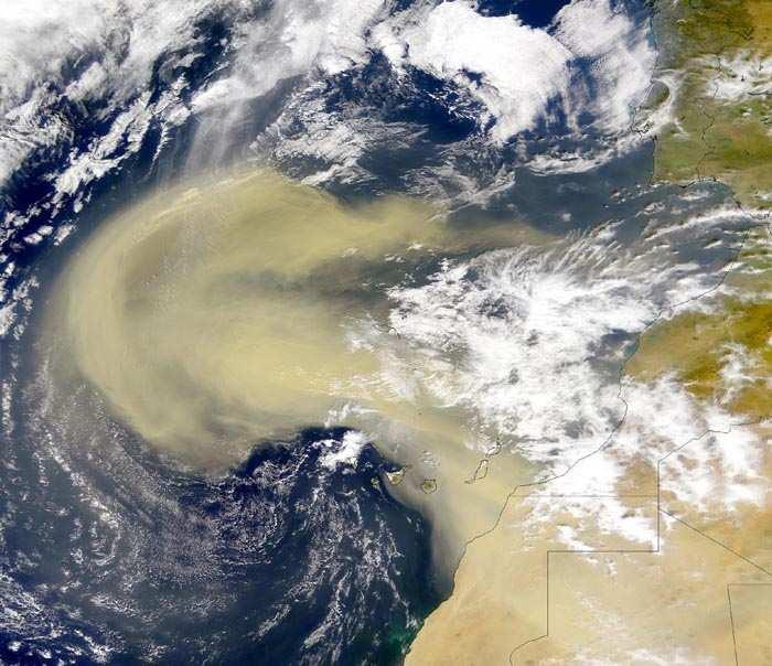 aerosols, emerge sporadically from Sahara and propagate westward over the tropical Atlantic.