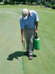 Guys on the paspalum courses prefer using a McClane edger with its guide wheels. We also use an Accuform manual edger/slicer.