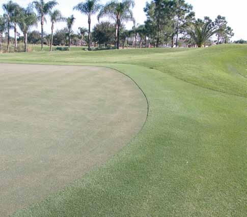 Perimeter plugging has been successfully implemented on both golf courses at Quail West over the past eight years.
