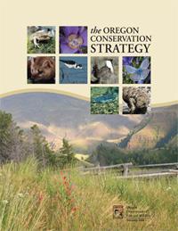 Expand Conservation Effort Proactive, effective conservation built around the Oregon Conservation Strategy Restoration of healthy ecosystems to benefit all fish and wildlife Science, research,