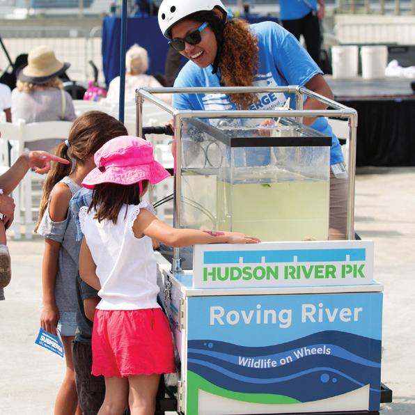 Roving River Keep an eye out for the Estuary Lab s Roving River tricycle an exhibit of Hudson River wildlife on wheels!