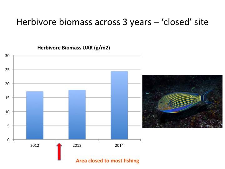 In the next slides we show examples of changes in size over 3.5 years for parrotfishes (males and females- Maow) and chubs (Reel) 1.