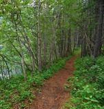 Some trails are flat while others climb steep hills or mountains. Trails range from fully accessible paved trails to rugged paths where a map or guide is recommended.