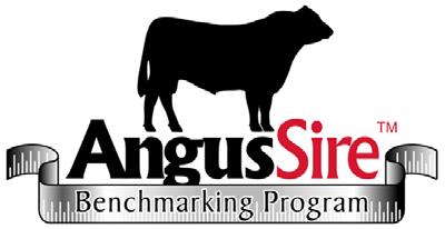 BACKGROUND The Angus Sire Benchmarking Program is an initiative of Angus Australia that aims to: a) generate progeny test data on modern Angus bulls, particularly for hard to measure traits such as