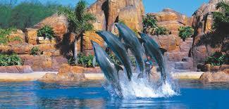 visit a Theme Park. You will receive a VIP 3 Park Pass (Movie World, Wet n Wild, Sea World) to go to as often as you like.