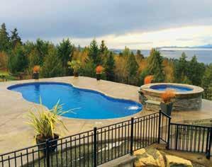 re s not much more you could you ask for in a swimming pool a generous body of water, flexible landscaping options, and meets the requirements to allow for a residential type 1 diving board truly a