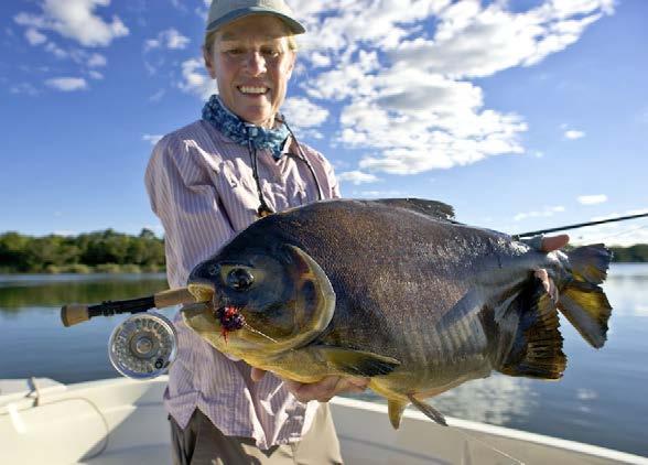THE FISHING orado are one of the most Dexiting species anglers can catch on a fly.