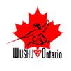 WushuOntario Sanda Program As members of a National sport organization, we have the responsibility in our respective roles to help each of our members attain their own level of personal excellence.