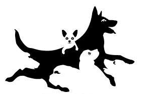 Schoolcraft County Fair Dog Fun Show Saturday, July 28 th at 6PM Schoolcraft County Fair Building Department 16 - Dog Show Division Class 4450 - Section 1 Obedience Class 1. Beginner 2. Novice 3.