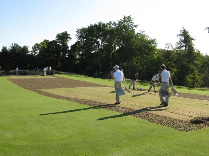This procedure removes thatch and organic matter, increases drainage and rooting, and will help promote firmness.