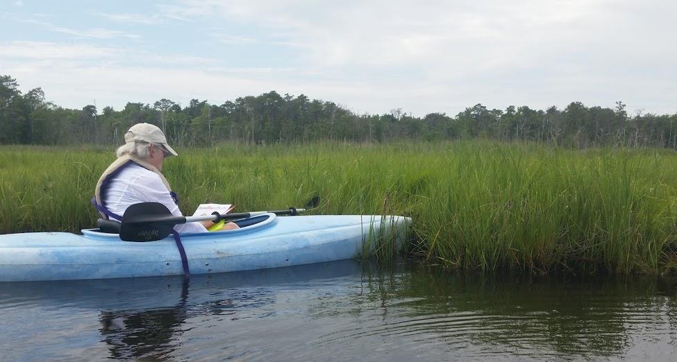 Follow these safe practices when paddling in an estuary! 1. Follow all U.S. Coast Guard, N.J. State Police, and local rules and regulations. 2. Always paddle with a buddy!