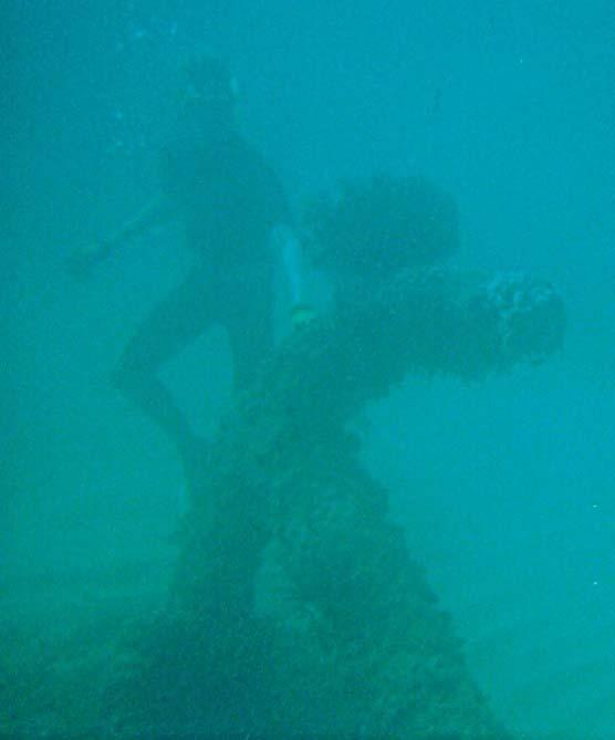 Figure 35. Admiralty Pattern anchor 150 m offshore from the S.S. Dicky.