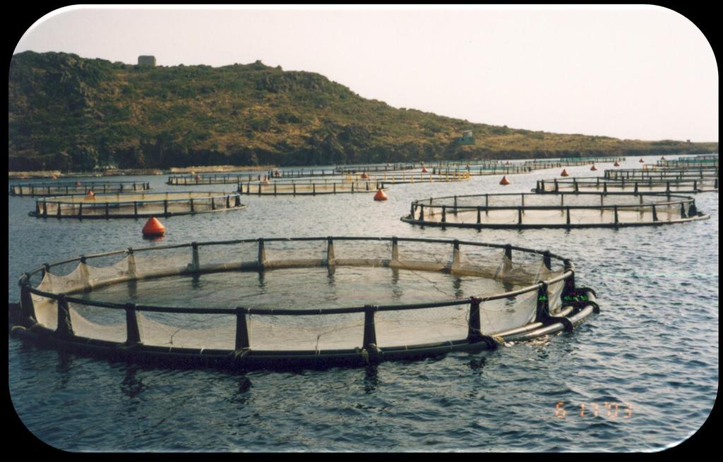 Inshore sea farming