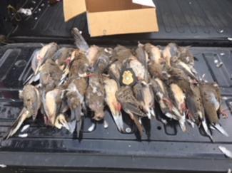 TATTNALL COUNTY On September 3 rd, Sergeant Jon Barnard, Game Warden Randell Meeks, and Game Warden Bobby Sanders patrolled Tattnall County for dove hunting activity with one shoot being located.