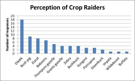 Figure 7: Perception of Crop Raiding on Salama Shambas Crop raiding perception shows dikdik to be the most common species entering the shamba (crop field), however bush pig, eland and baboon were