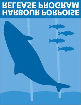 Harbour Porpoise Release Program Newsletter Volume 5 Fall 2003 We have come to the end of another successful year for the Harbour Porpoise Release Program.