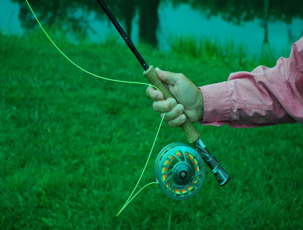 Tailing Loops Common Casting Mistakes Punching or pushing the rod straight ahead with