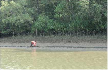 In fact, even the Kharnasi river itself is used by fisher people for fishing and once it is converted into a part of the waterway, this fishing is likely to be severely affected.