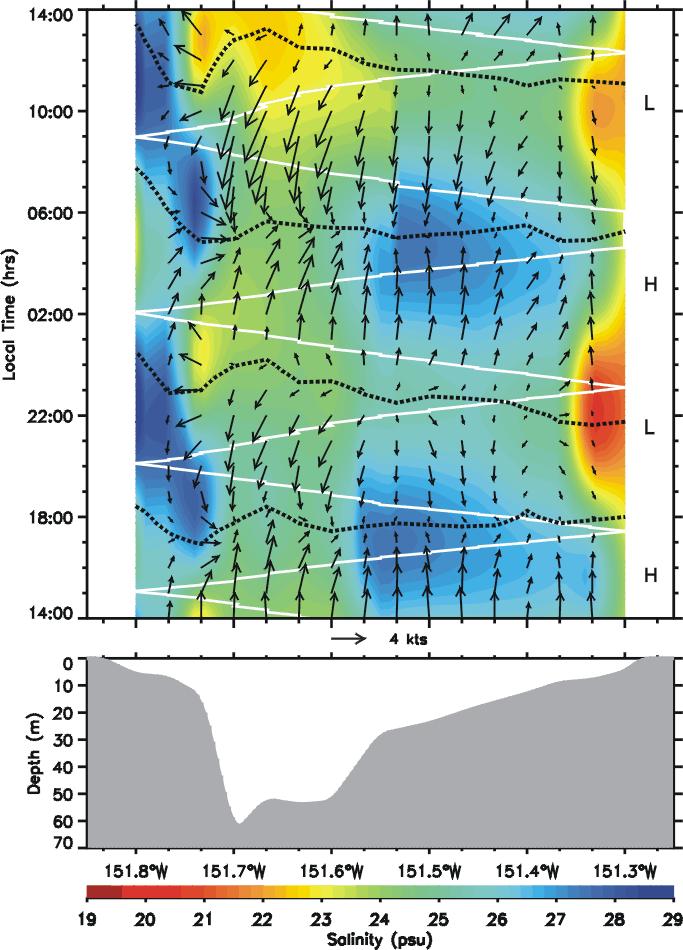 Occurrences of (H)igh and (L)ow tides indicated on right side of plot. (Bottom) Bottom depth profile along section. Figure 17. (Top) Time-longitude plot of surface layer salinity (0 1 m).