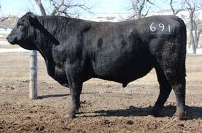 18 19 Sons of Reserve Son of Effective 688 Sunrise Reserve 688-4134Y Birth Date: 3/23/2016 75 602