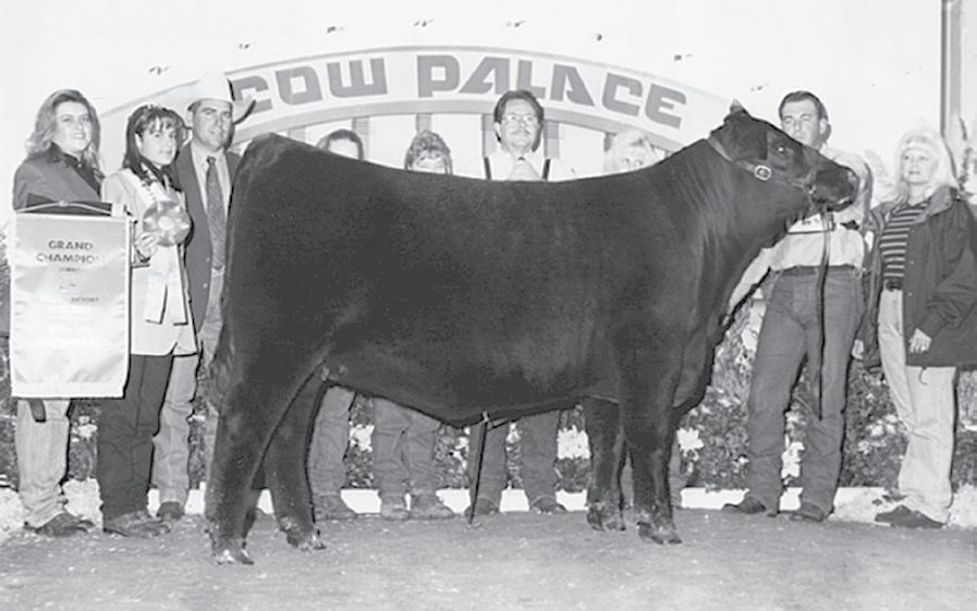 Sisters to Elba DAR Elba 55 - This is one of the most powerful and influential cows ever to hit the Angus breed.